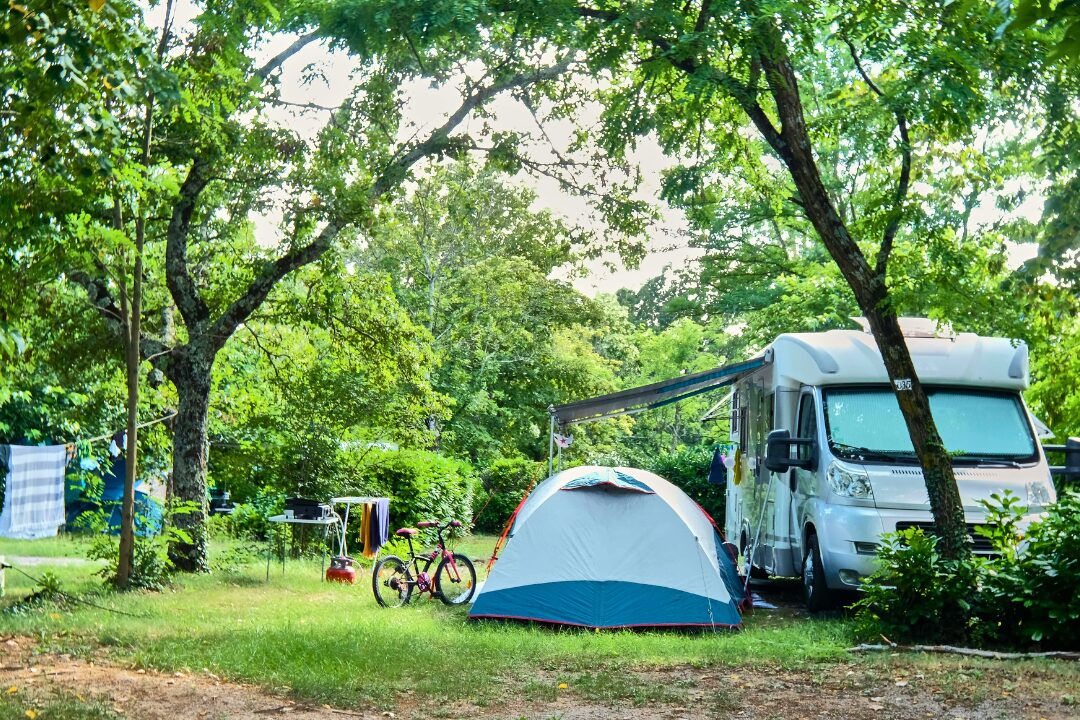 Ludo Camping - Bild 6 Ludo Camping - Bild 6