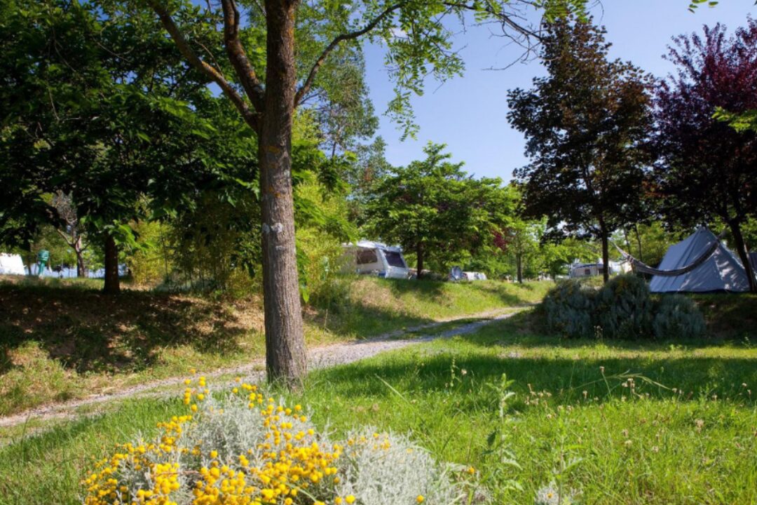 Ludo Camping - Bild 7 Ludo Camping - Bild 7