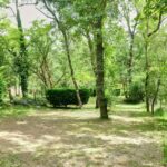 Ludo Camping - Bild 9 Ludo Camping - Bild 9