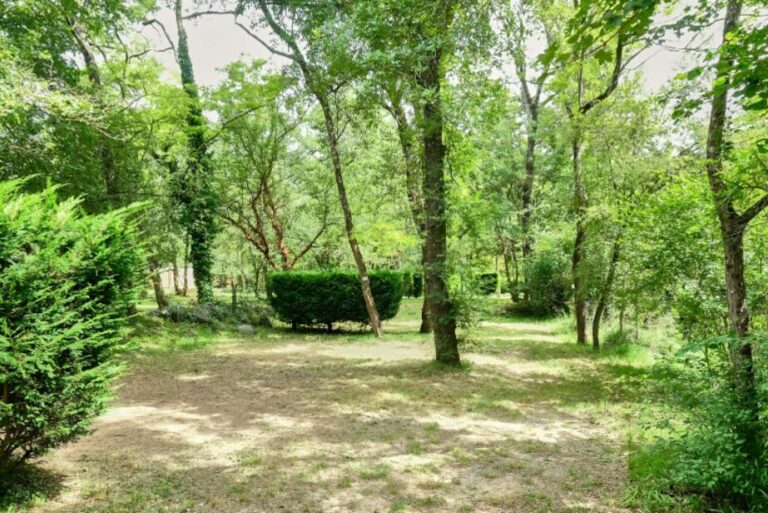 Ludo Camping - Bild 9 Ludo Camping - Bild 9