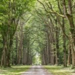 L´orangerie De Beauregard - Bild 10 L´orangerie De Beauregard - Bild 10