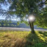 Main Glueck Camping - Bild 4