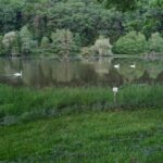 Main Glueck Camping - Bild 6