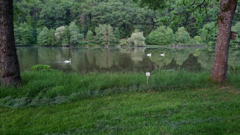 Main Glueck Camping - Bild 6