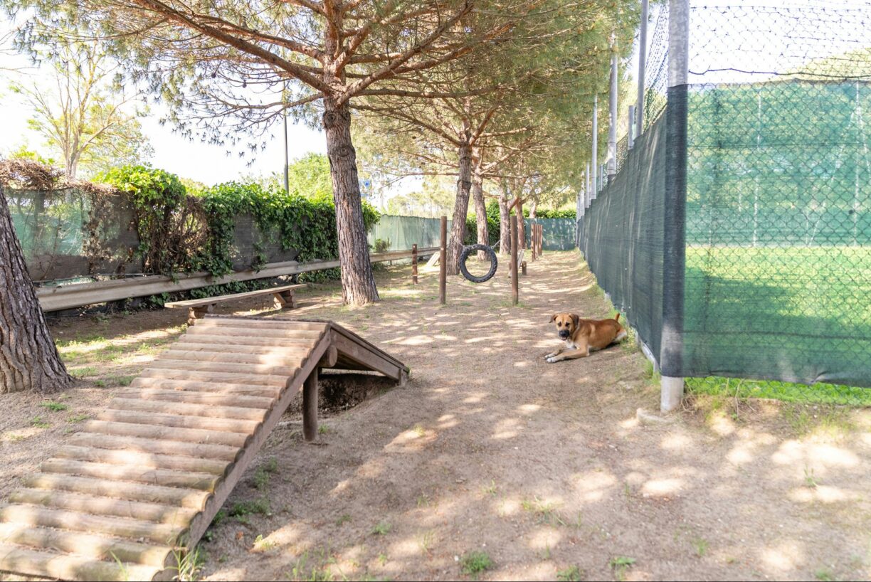 Marina Family Resort - Bild 14 Marina Family Resort - Bild 14