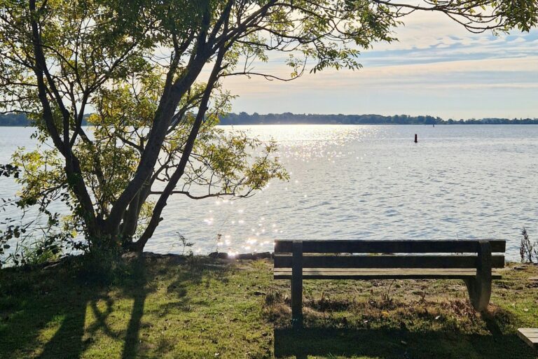 Marina Parcs - Bild 19 Marina Parcs - Bild 19