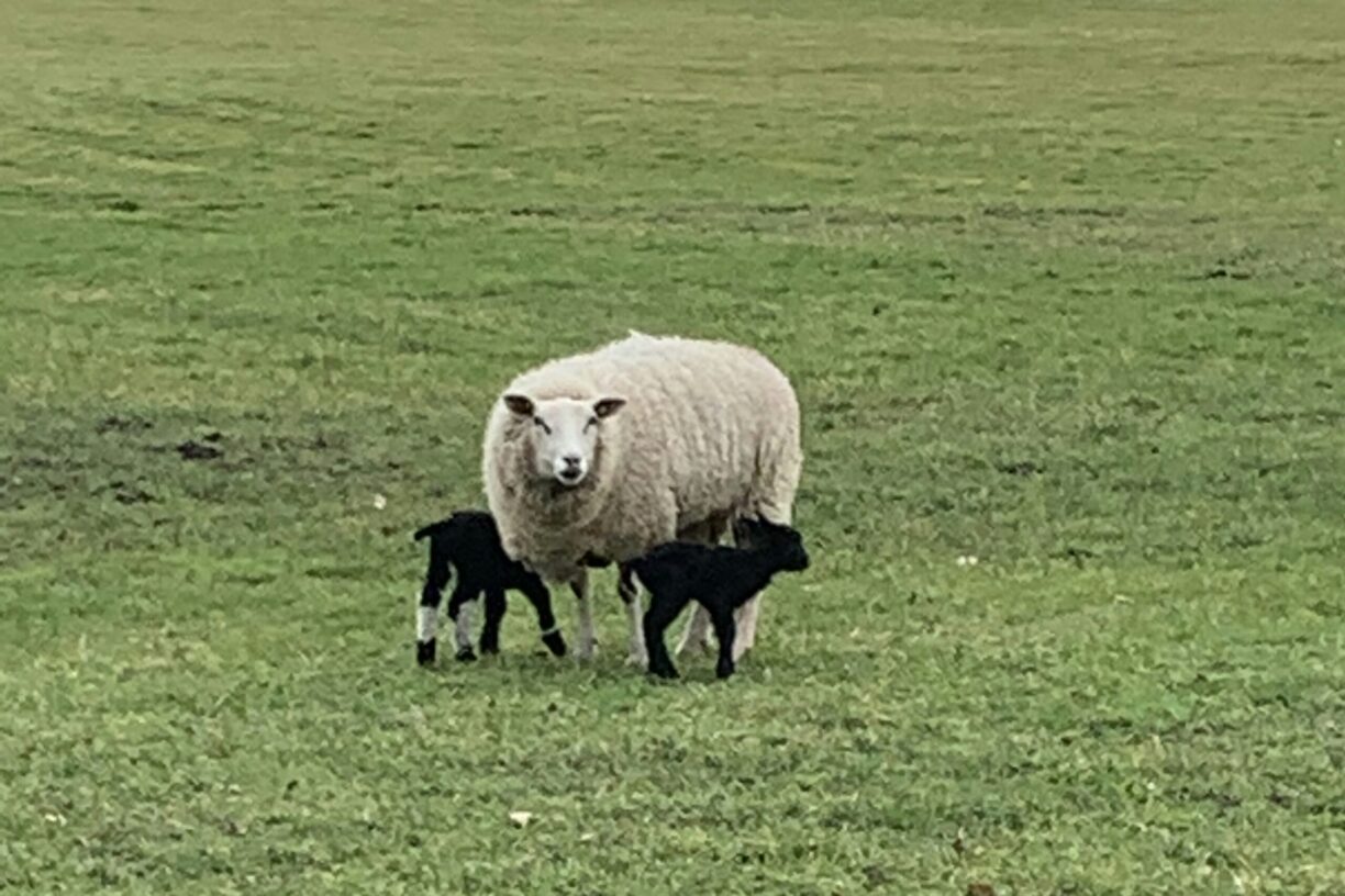 Marinapark Residentie Bloemendaal - Bild 20 Marinapark Residentie Bloemendaal - Bild 20
