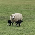 Marinapark Residentie Bloemendaal - Bild 20 Marinapark Residentie Bloemendaal - Bild 20