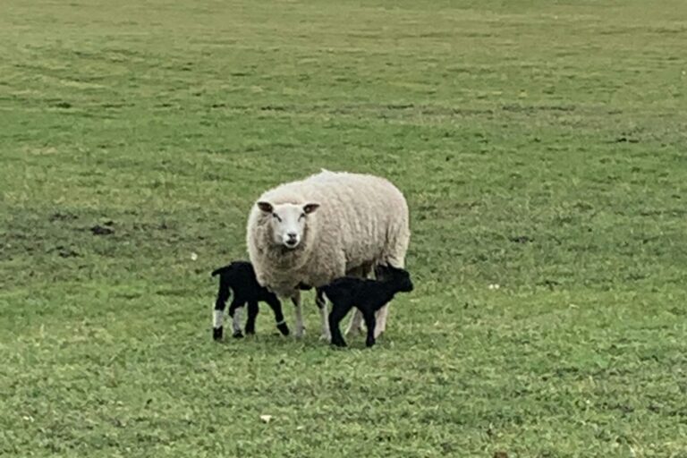 Marinapark Residentie Bloemendaal - Bild 20 Marinapark Residentie Bloemendaal - Bild 20