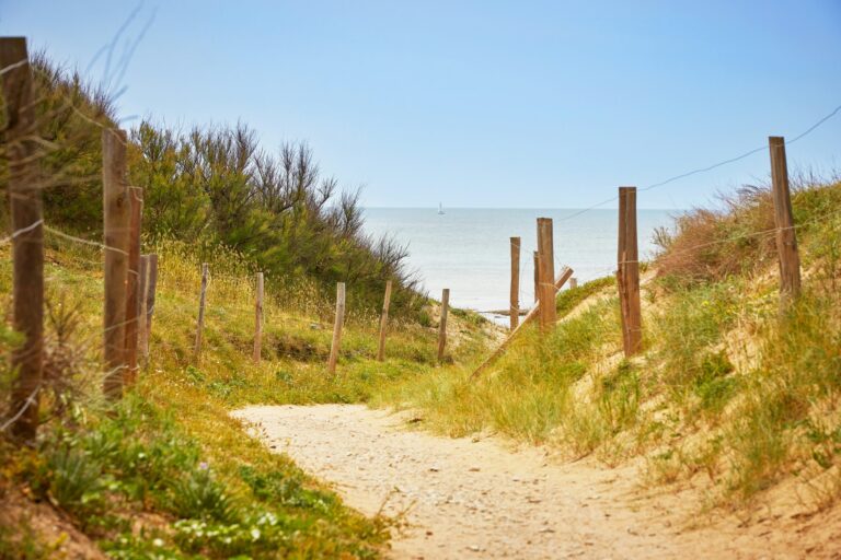 Marvilla Parks Côte Sauvage - Bild 15