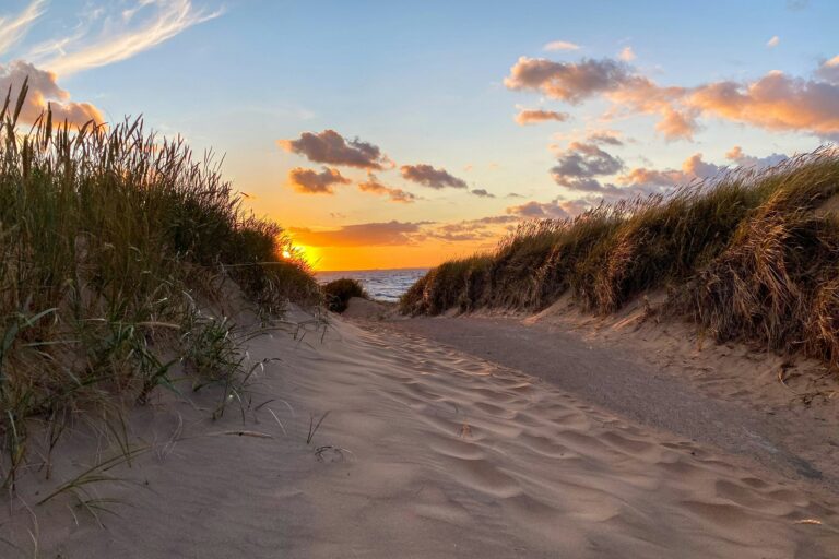 Mellbystrands Camping - Bild 4