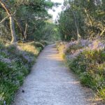 Mellbystrands Camping - Bild 5