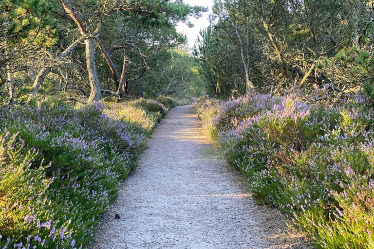 Mellbystrands Camping - Bild 5