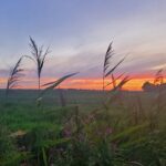 Minicamping De Grutte Earen - Bild 13