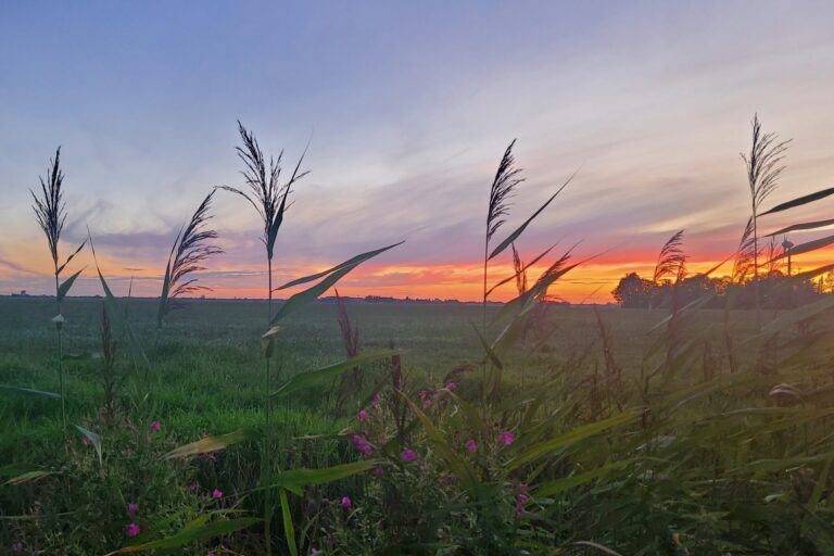 Minicamping De Grutte Earen - Bild 13