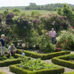 Minicamping & Kloostertuin Werendijke - Bild 3 Minicamping & Kloostertuin Werendijke - Bild 3