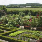 Minicamping & Kloostertuin Werendijke - Bild 6 Minicamping & Kloostertuin Werendijke - Bild 6