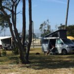 Mira Lodge Park - Bild 2