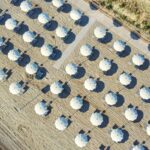 Miramare Camping Village - Bild 14 Miramare Camping Village - Bild 14