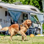 Miramare Camping Village - Bild 6 Miramare Camping Village - Bild 6