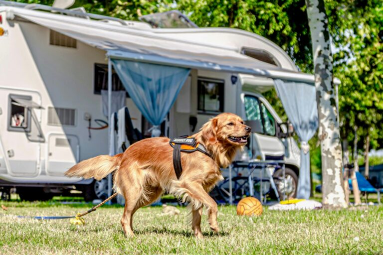 Miramare Camping Village - Bild 6 Miramare Camping Village - Bild 6