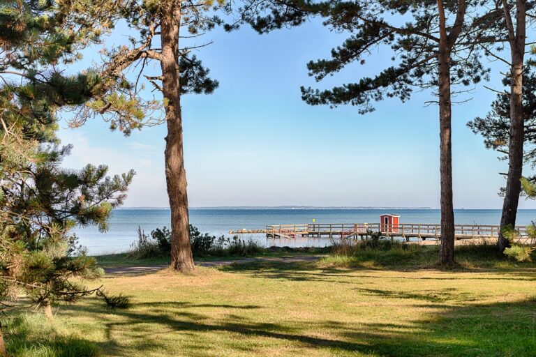 Mötesplats Borstahusen - Bild 6 Mötesplats Borstahusen - Bild 6