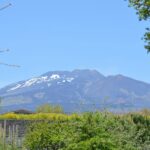 Mons Gibel Camping Park - Bild 13