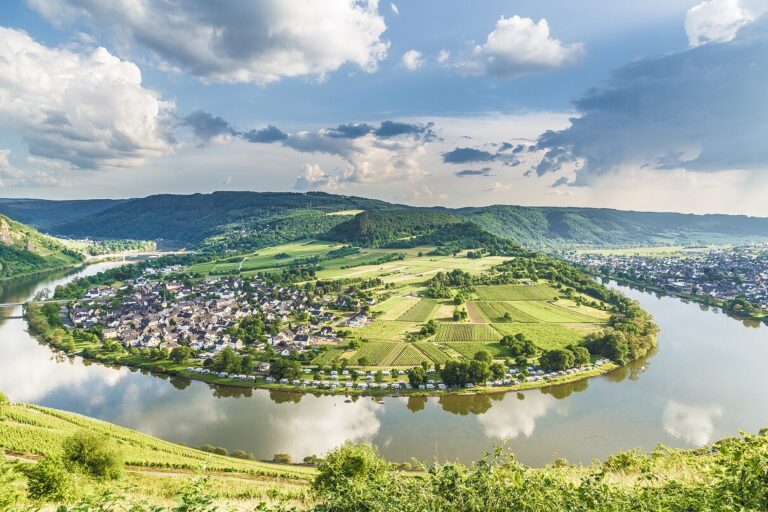 Moselcamping Wolf - Bild 11