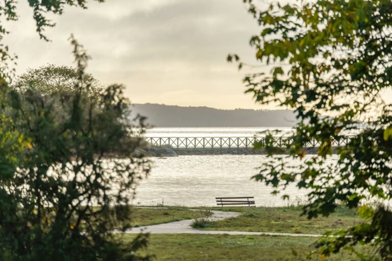 My Camping Tredenborg - Bild 3 My Camping Tredenborg - Bild 3