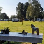 Nås Camping Dalarna - Bild 6