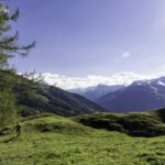 Nationalpark Camping Andrelwirt - Bild 7