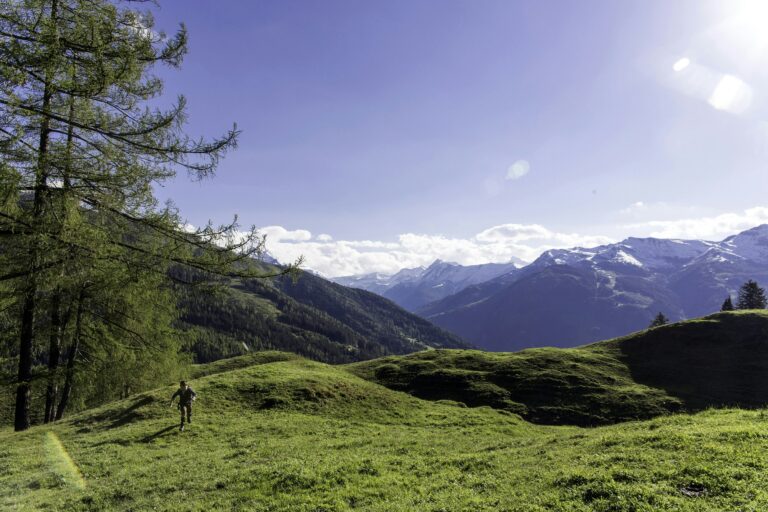 Nationalpark Camping Andrelwirt - Bild 7