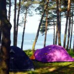 Natur Camping Usedom - Bild 3