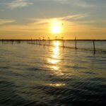 Natur Camping Usedom - Bild 6