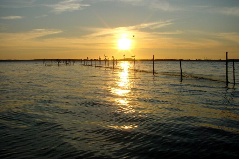 Natur Camping Usedom - Bild 6