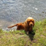 Natur & City Camping Ellwangen - Bild 7