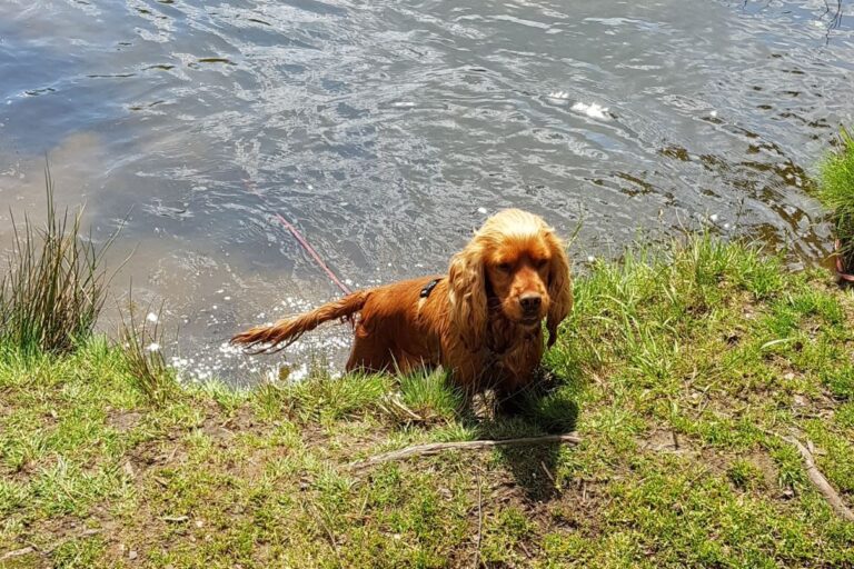 Natur & City Camping Ellwangen - Bild 7