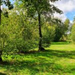Natur & City Camping Ellwangen - Bild 8