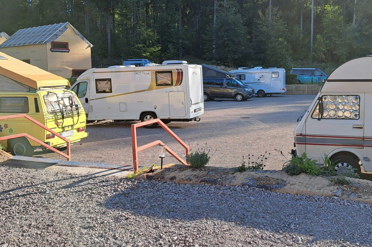 Naturcamp Lenkgrund - Bild 15 Naturcamp Lenkgrund - Bild 15