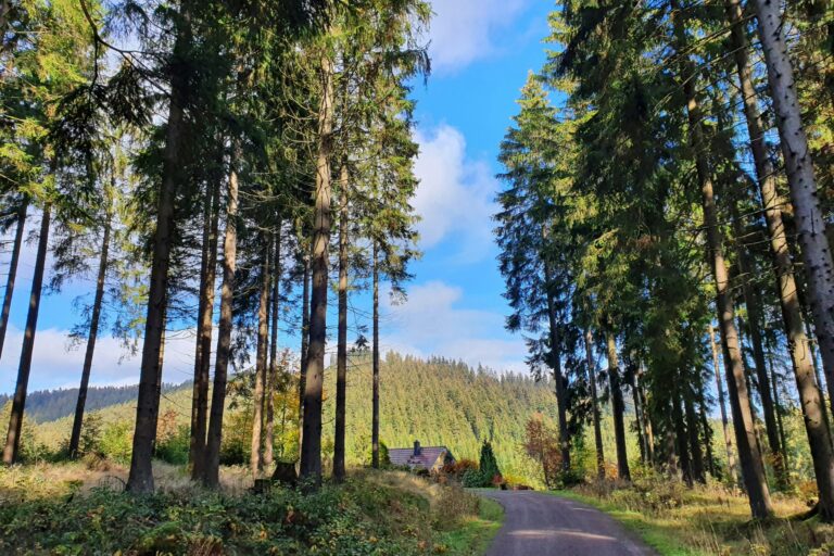 Naturcamp Meyersgrund - Bild 10