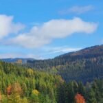 Naturcamp Meyersgrund - Bild 11