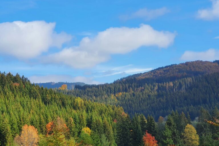 Naturcamp Meyersgrund - Bild 11