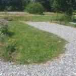 Naturcamp Steinwald - Bild 13 Naturcamp Steinwald - Bild 13