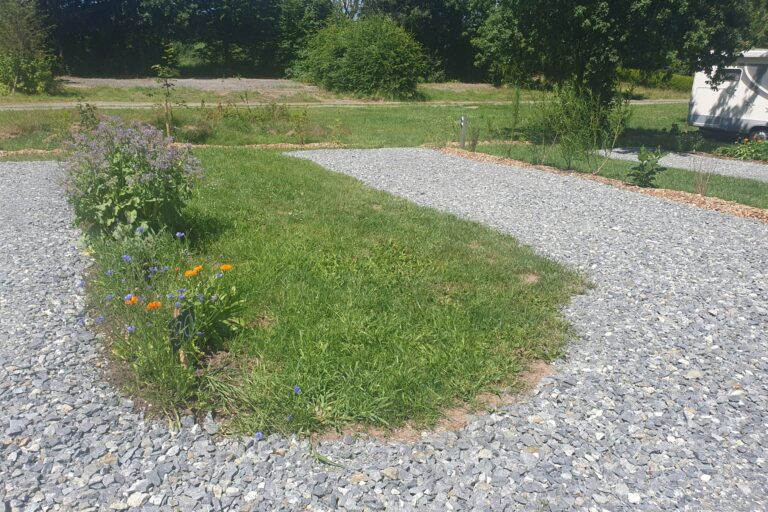 Naturcamp Steinwald - Bild 13 Naturcamp Steinwald - Bild 13