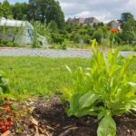 Naturcamp Steinwald - Bild 14 Naturcamp Steinwald - Bild 14