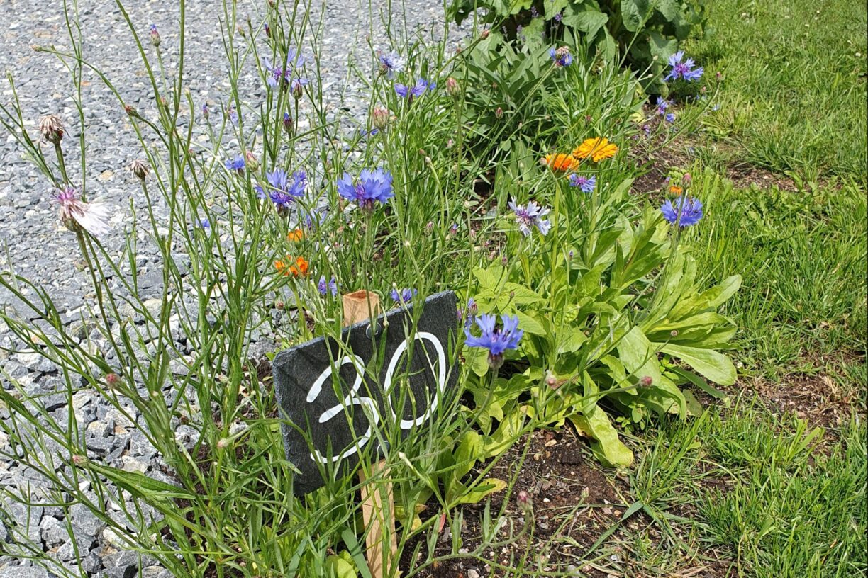 Naturcamp Steinwald - Bild 15 Naturcamp Steinwald - Bild 15