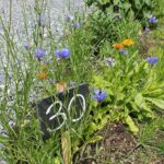 Naturcamp Steinwald - Bild 15 Naturcamp Steinwald - Bild 15