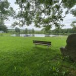 Naturcamp Steinwald - Bild 16 Naturcamp Steinwald - Bild 16