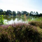 Naturcamping Lüneburger Heide - Bild 3 Naturcamping Lüneburger Heide - Bild 3