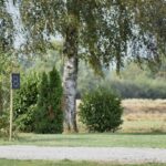 Naturresort Weserinsel - Bild 3